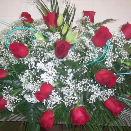 Hotel Carinena Отель 2*