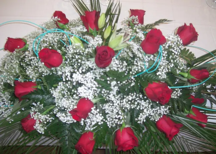 Hotel Carinena מלון 2*